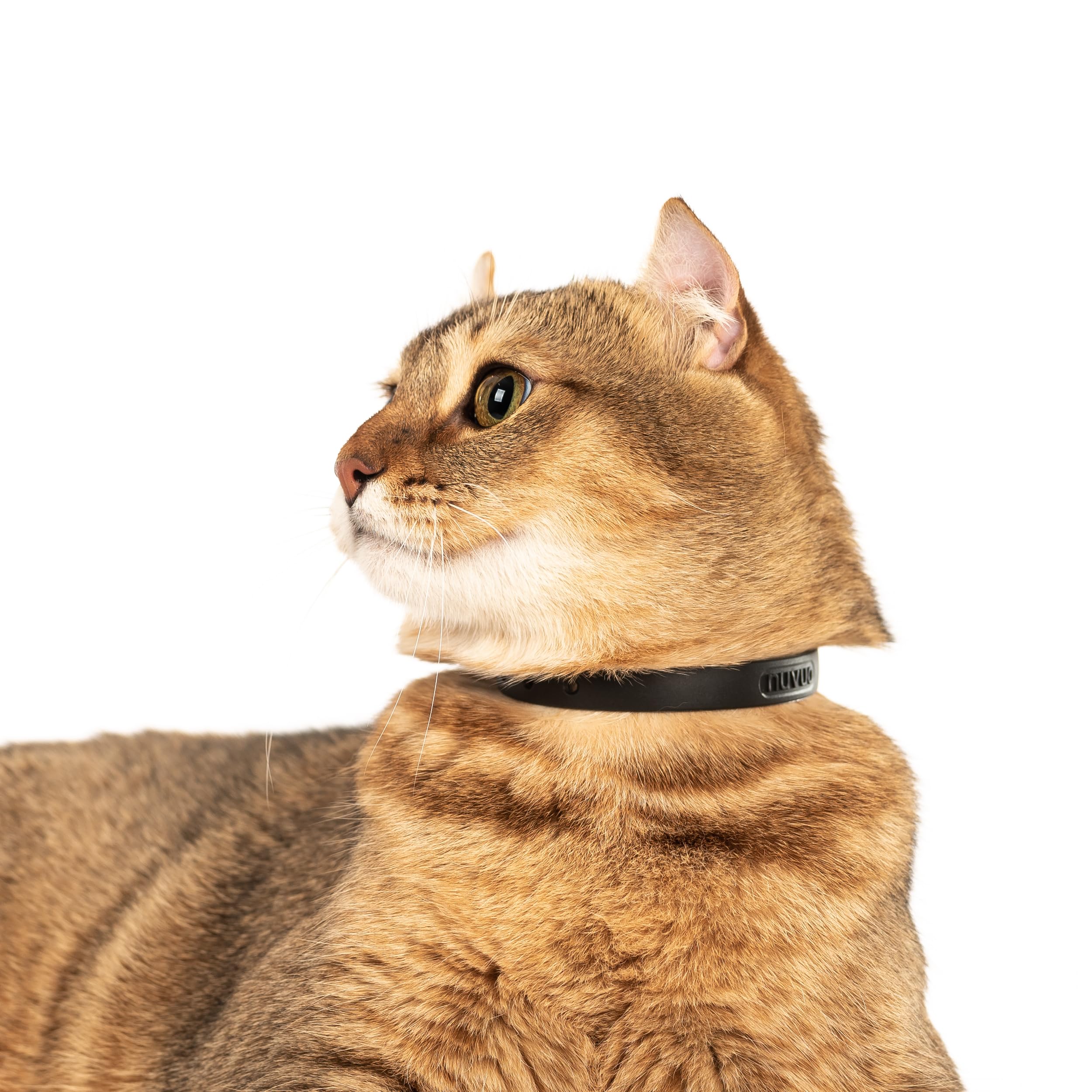 Nuvuq durable scratch-resistant material designed for outdoor cats.