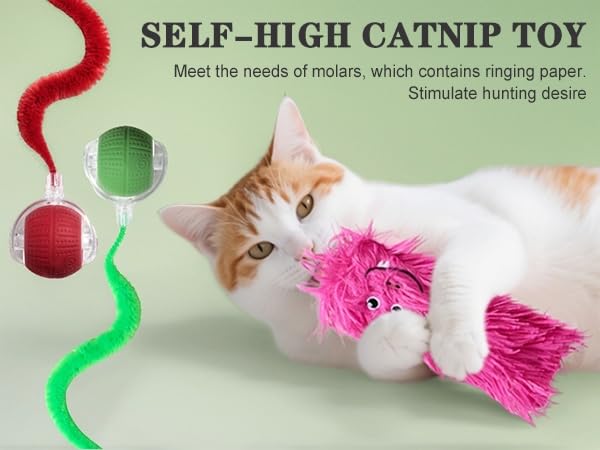NVTED cat toy carpet-use demonstrates reliable rolling on high-pile and low-pile floors