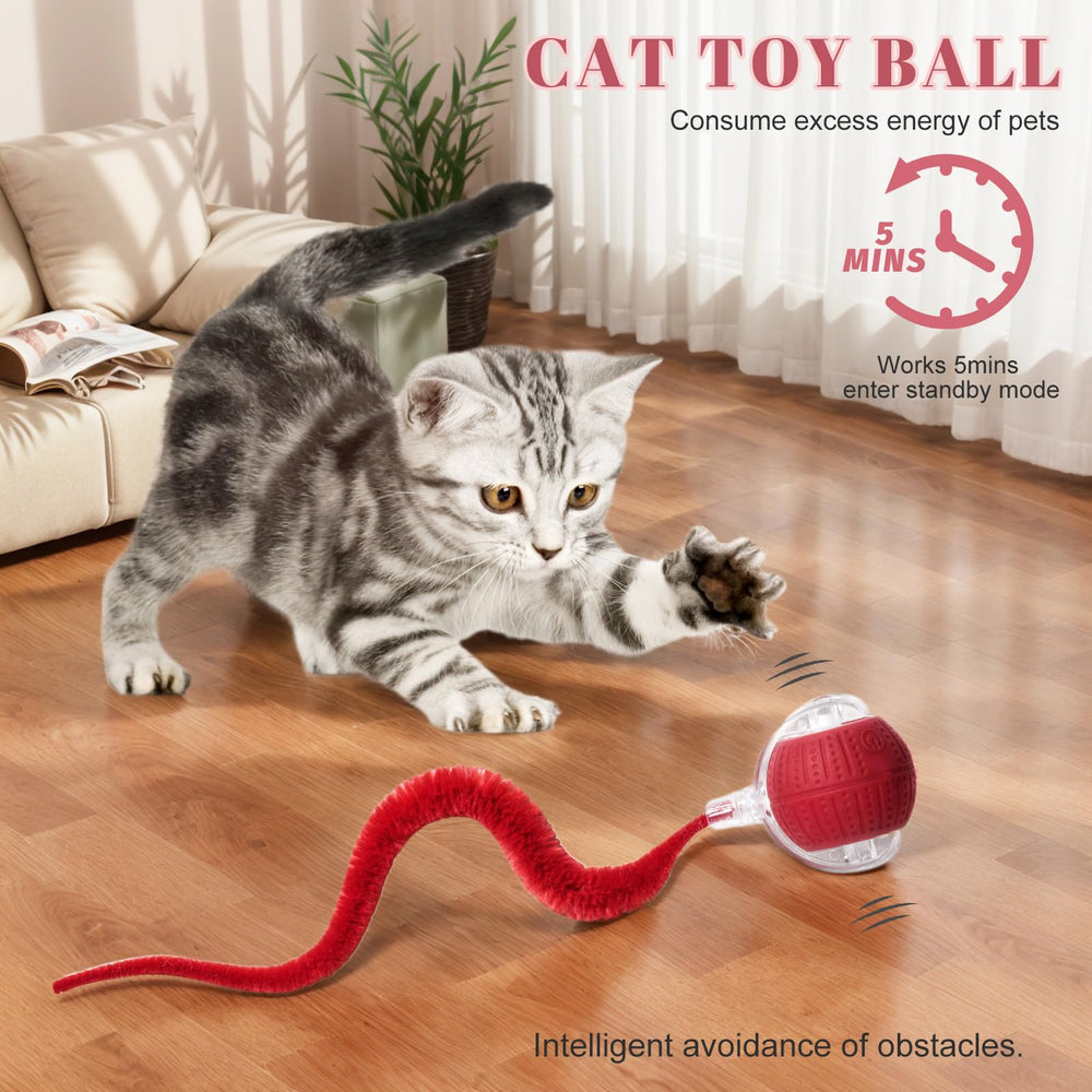 NVTED cat toy lights modes demonstrates the three-mode option with color indicators