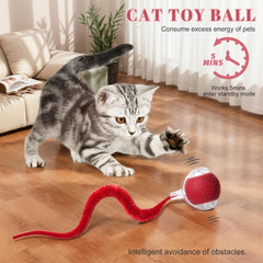 NVTED cat toy lights modes demonstrates the three-mode option with color indicators