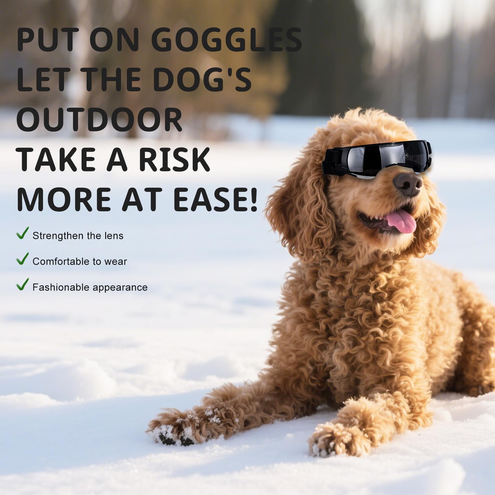 NVTED dog-cat goggle sunglasses worn on small dog shows lightweight wearability.