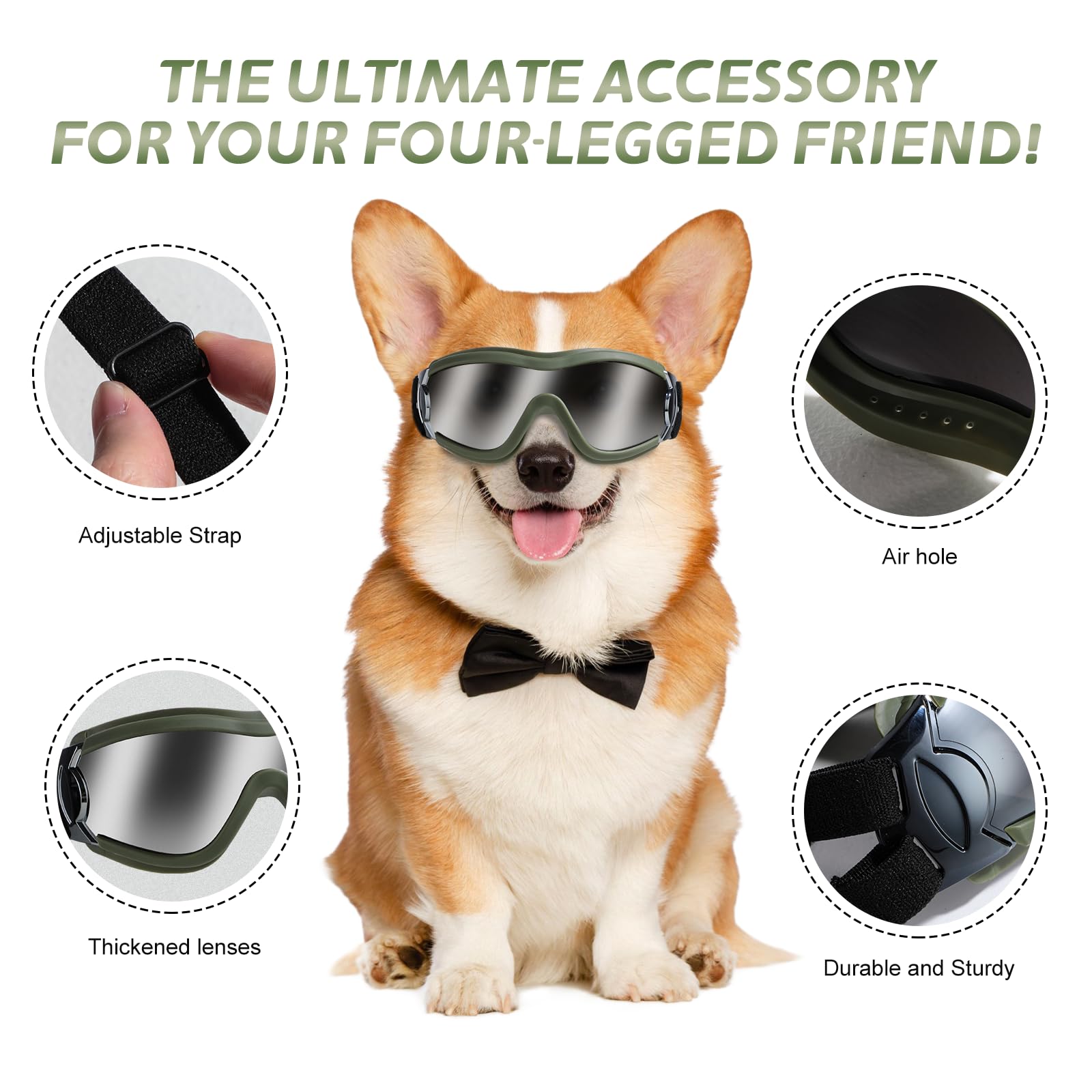 NVTED dog sunglasses adjustable strap closeup demonstrates secure fit during walks.