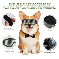 NVTED dog sunglasses adjustable strap closeup demonstrates secure fit during walks.