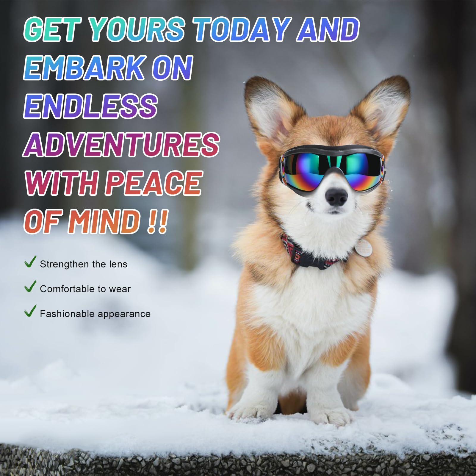 NVTED dog sunglasses ideal for outdoor activities like cycling or hiking