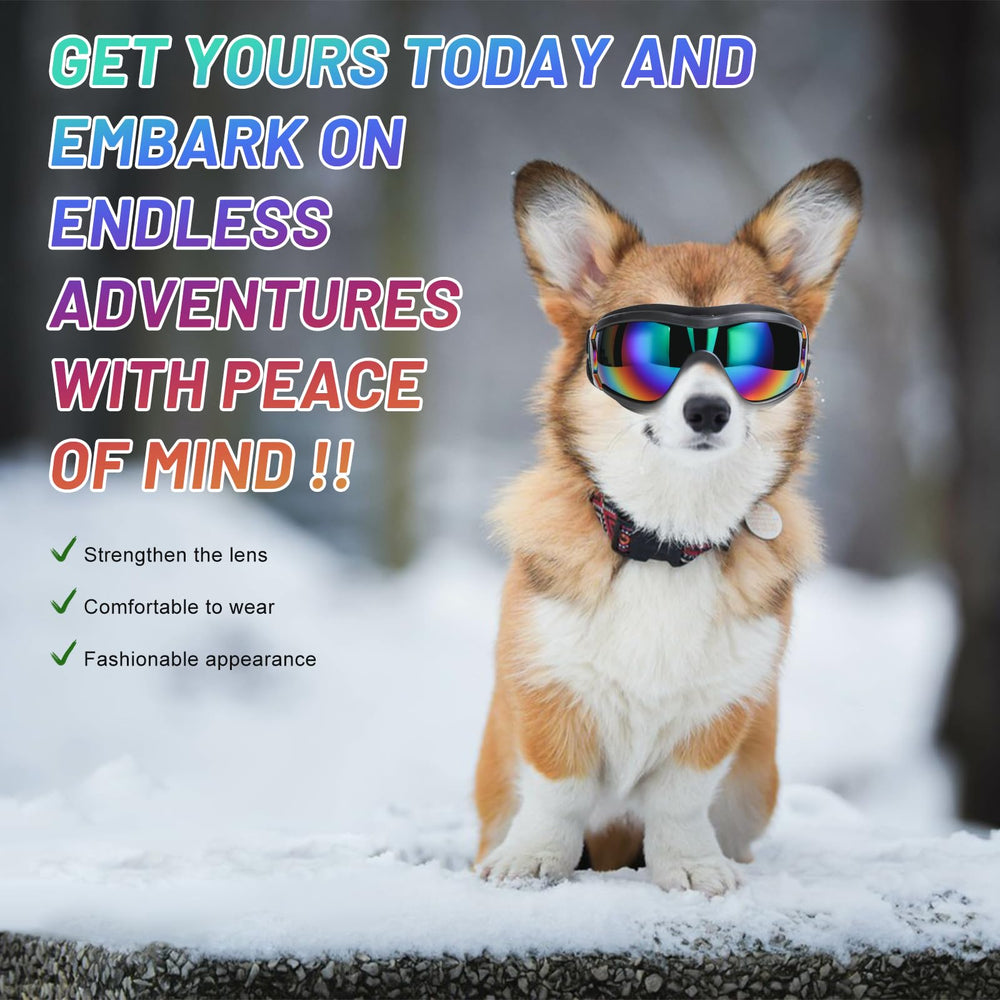 NVTED dog sunglasses ideal for outdoor activities like cycling or hiking