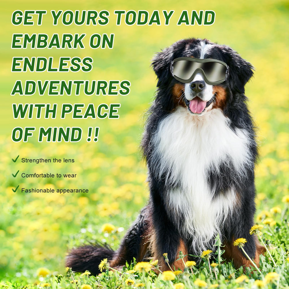NVTED dog sunglasses outdoor-use closeup captures ready-for-walk practicality.
