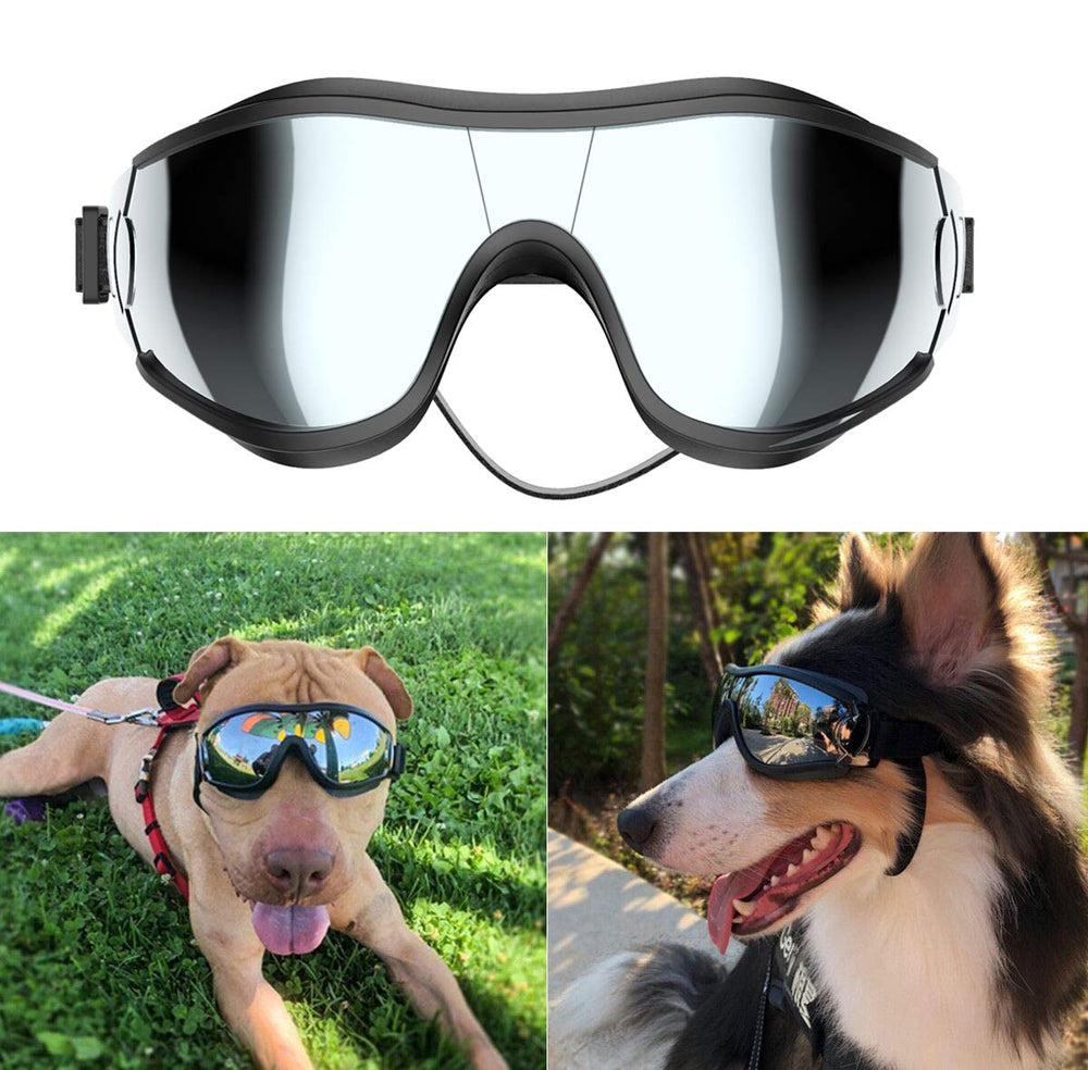NVTED dog sunglasses side-view shield eyes from wind and debris during outdoor walks.