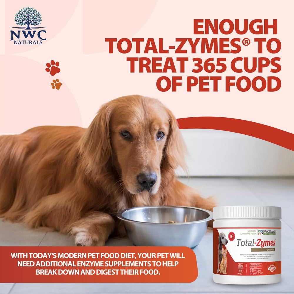NWC Naturals Total-Zymes plant-based enzymes close-up emphasizes protein, fat, and carb breakdown.