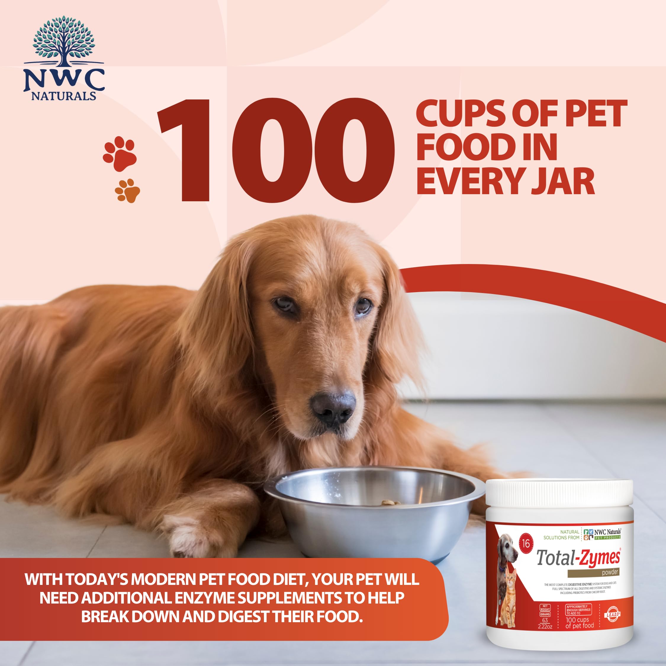 NWC Naturals Total-Zymes 63-gram jar showing long-term digestive support.