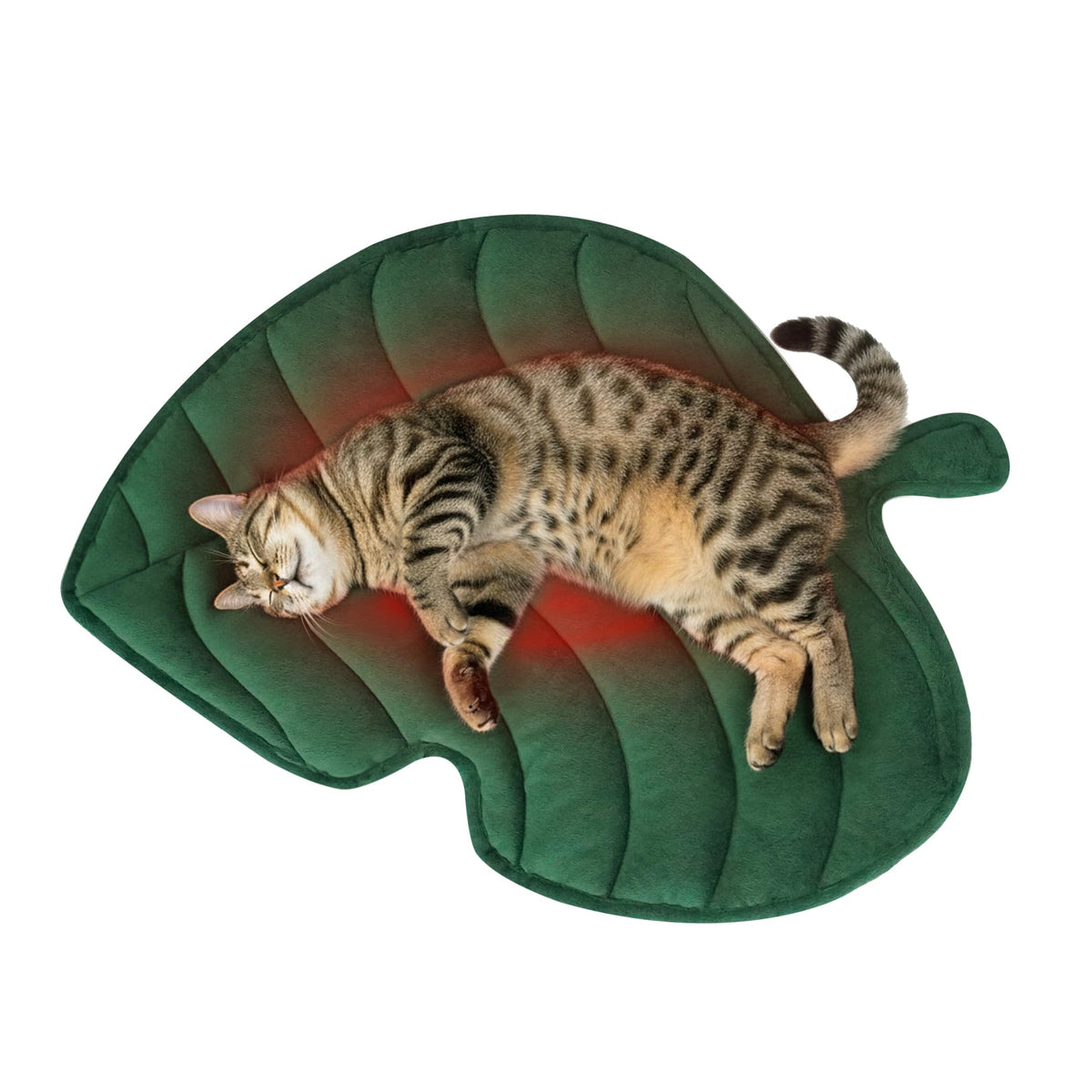 NWK Green Leaf Bed Mat after unboxing shows fluffy fill ready for use