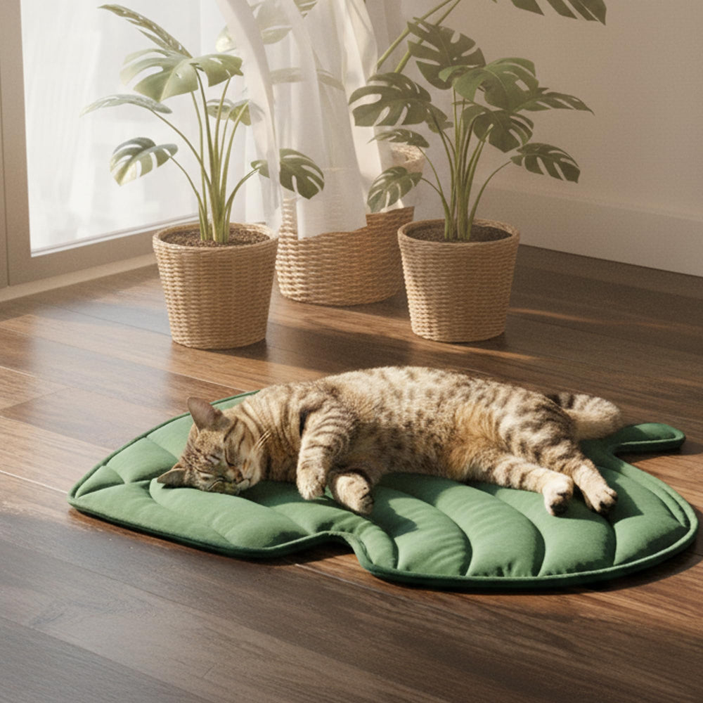 NWK Green Leaf Non-Slip Bottom holds mats steady on any floor