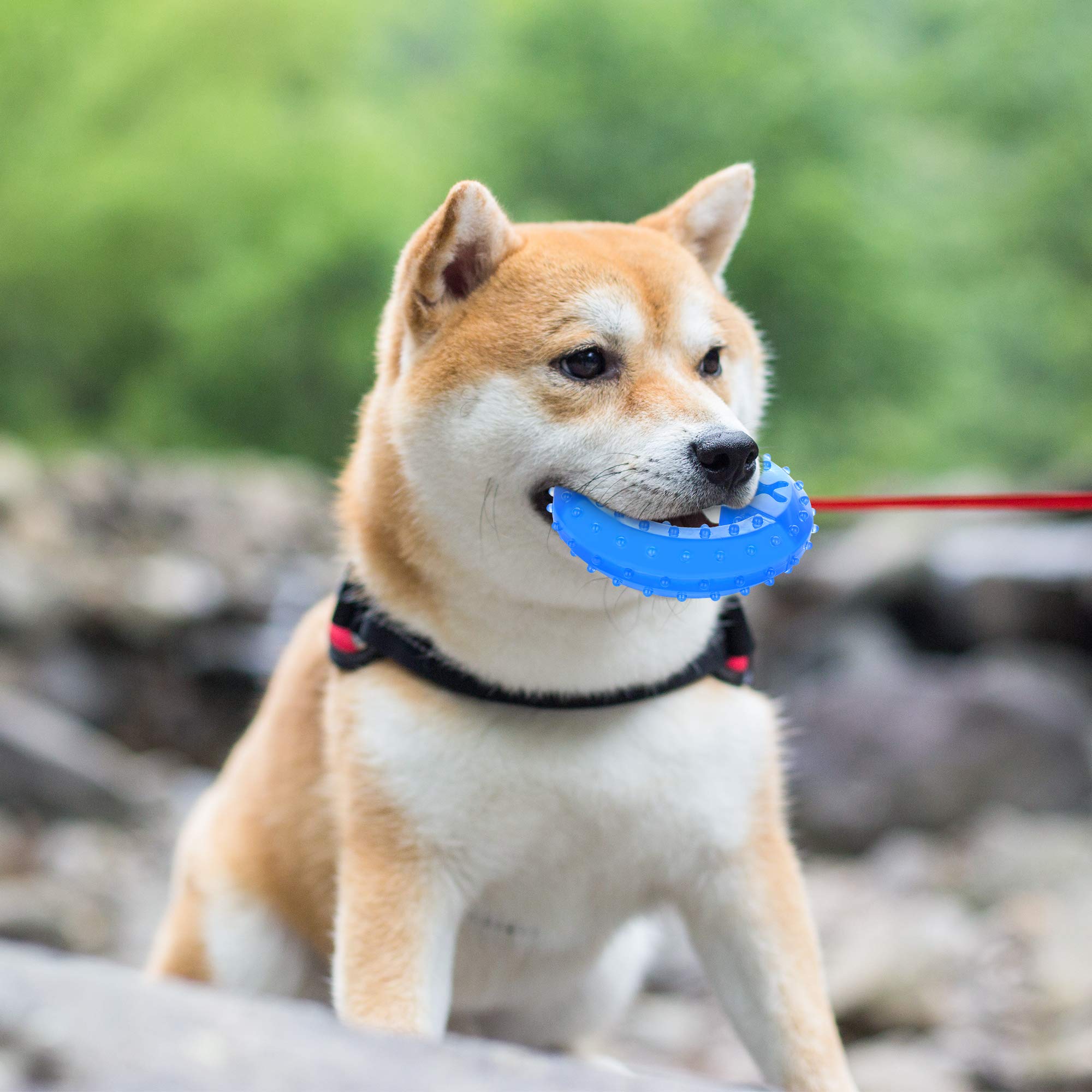 NWK Pet Teether Cooling Chew Toy Freezing Action provides refreshing surface on hot days.