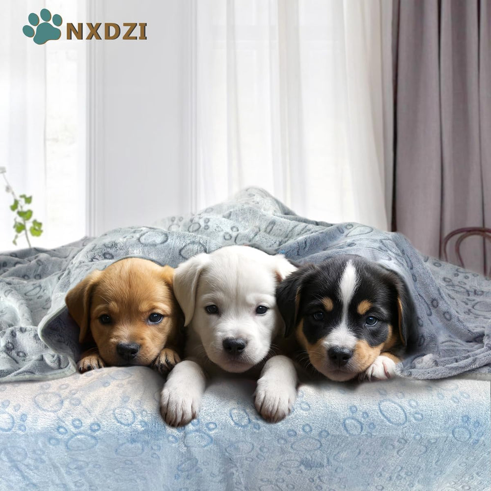 NXDZI small-dog blanket on sofa shows furniture protection and cozy lounging.