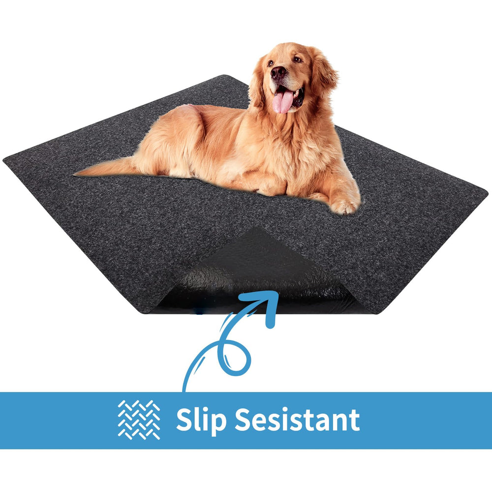 NYFITY non-slip dog mat stays in place during activity.