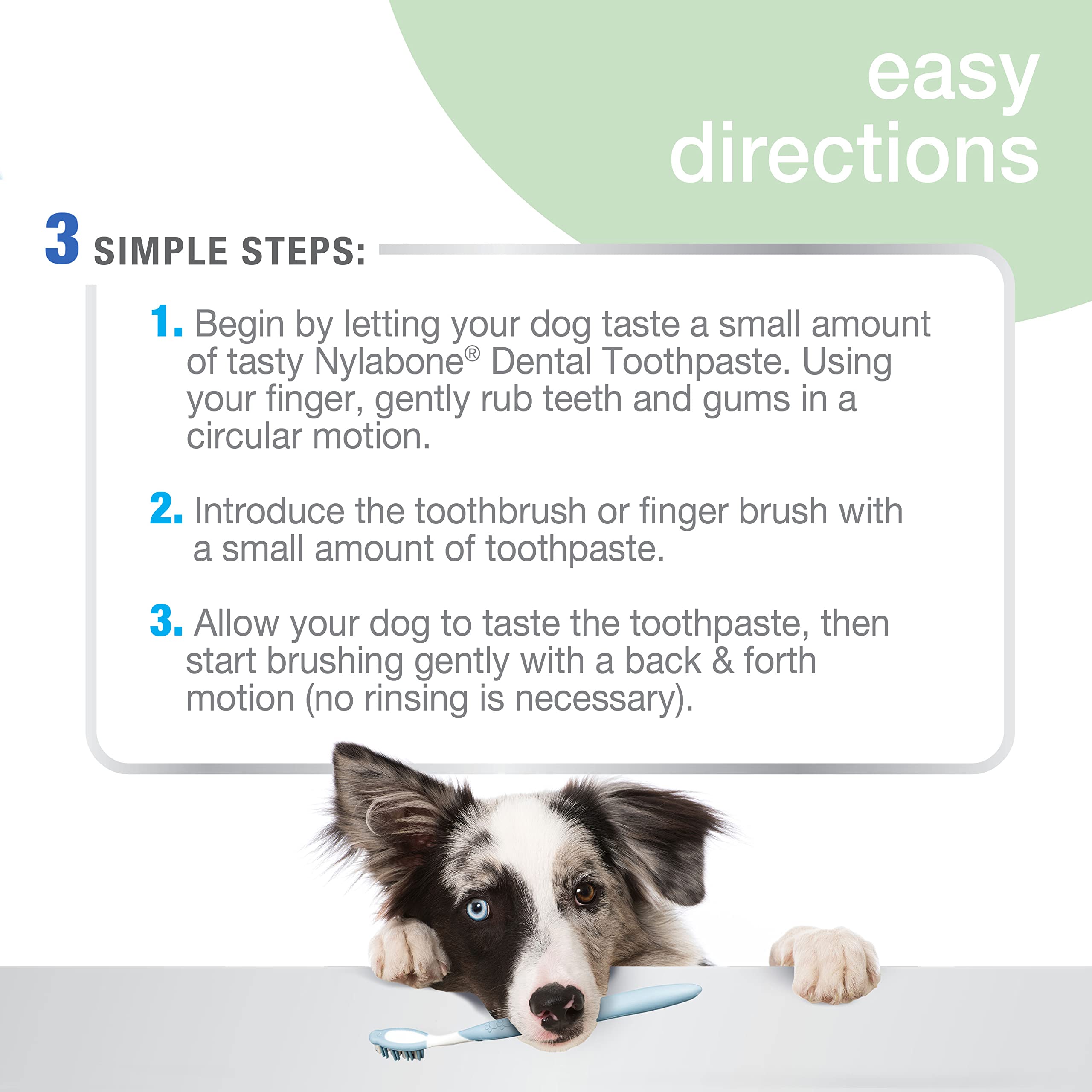 Nylabone Advanced Oral Care Denta-C science symbol highlights plaque-reducing benefits