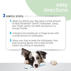 Nylabone Advanced Oral Care Denta-C science symbol highlights plaque-reducing benefits