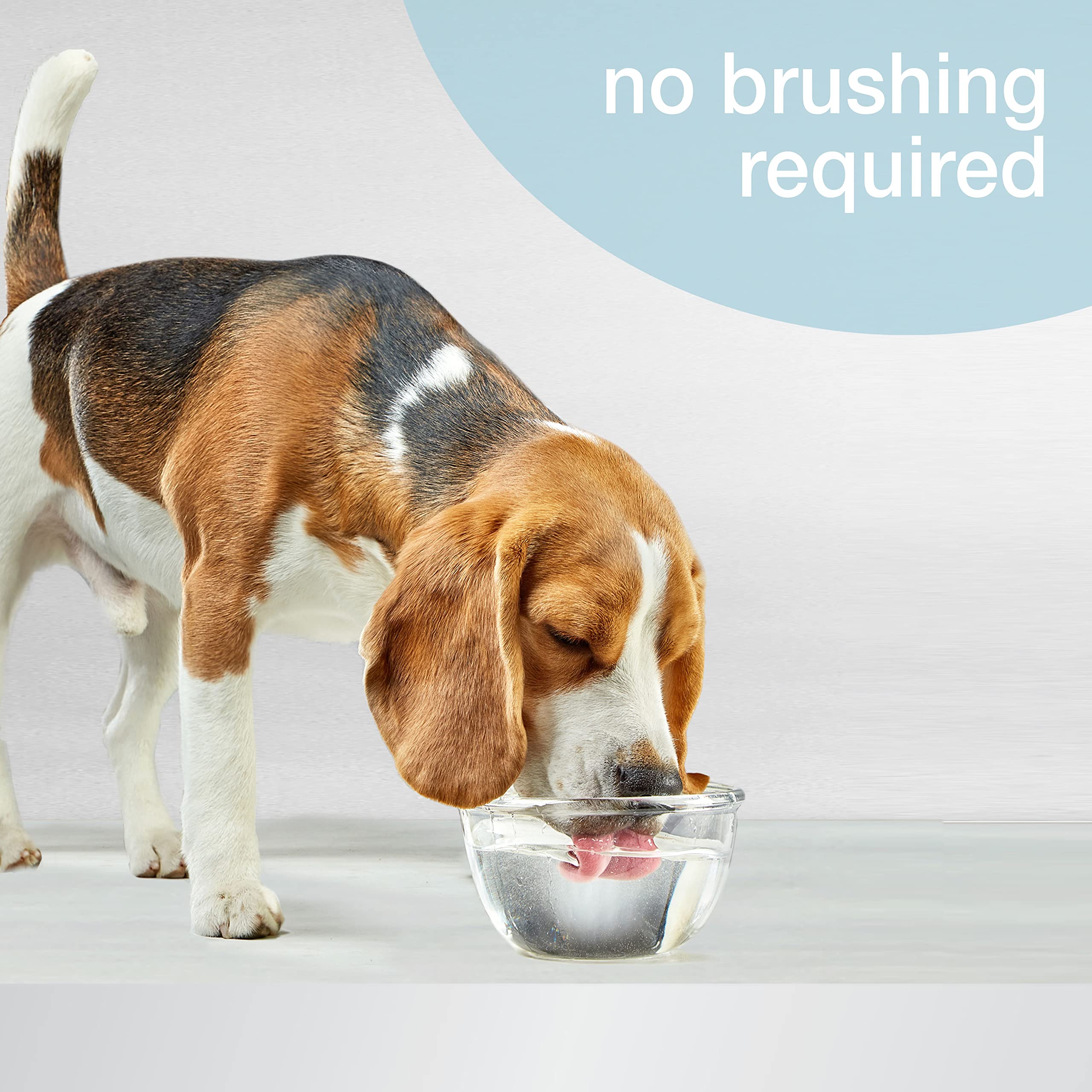 Nylabone Advanced Oral Care being poured into a dog's water bowl for easy dental care.