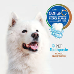 Nylabone Advanced Oral Care USA-made packaging on display for trusted dental care