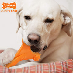 Axis Bone chew toy shows three textured ends for versatile chewing from any angle