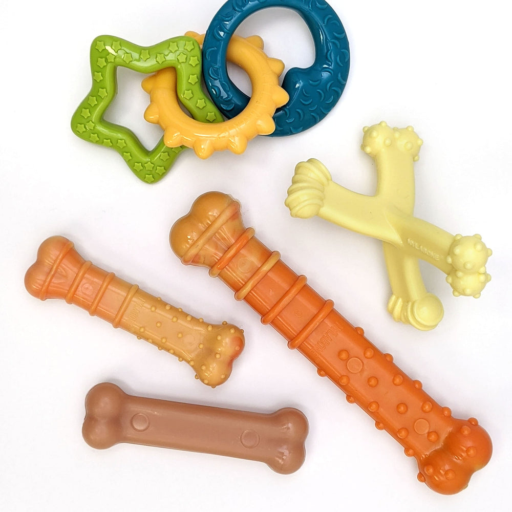 Nylabone Axis Bone Power chew toy dental ridges detail aiding plaque control