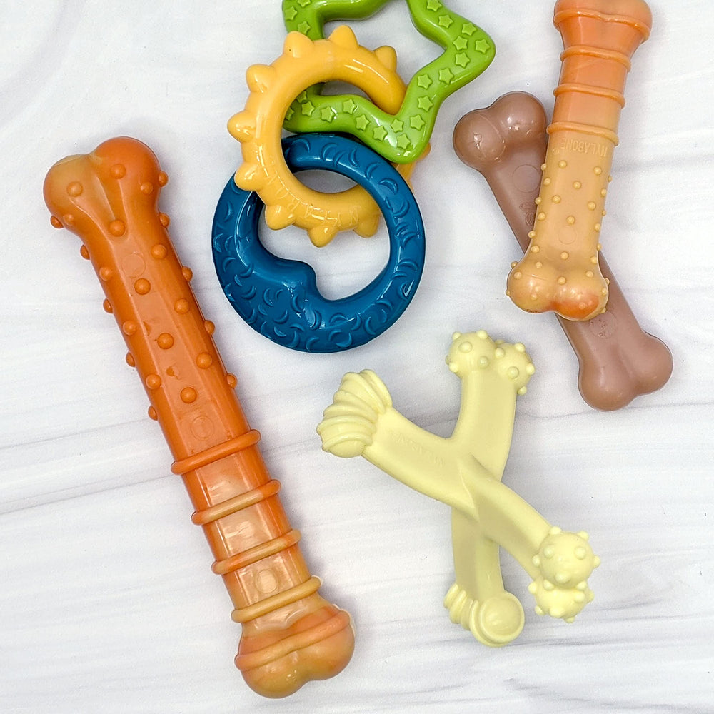 Nylabone Axis Bone Power chew toy textured-nubs for teeth cleaning during chew