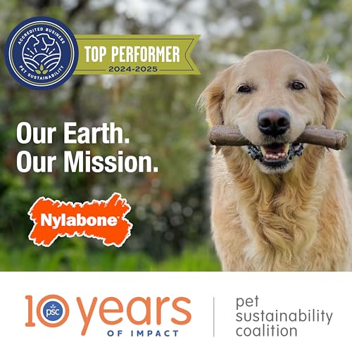 Nylabone Bacon flavor chew fosters satisfying chew sessions