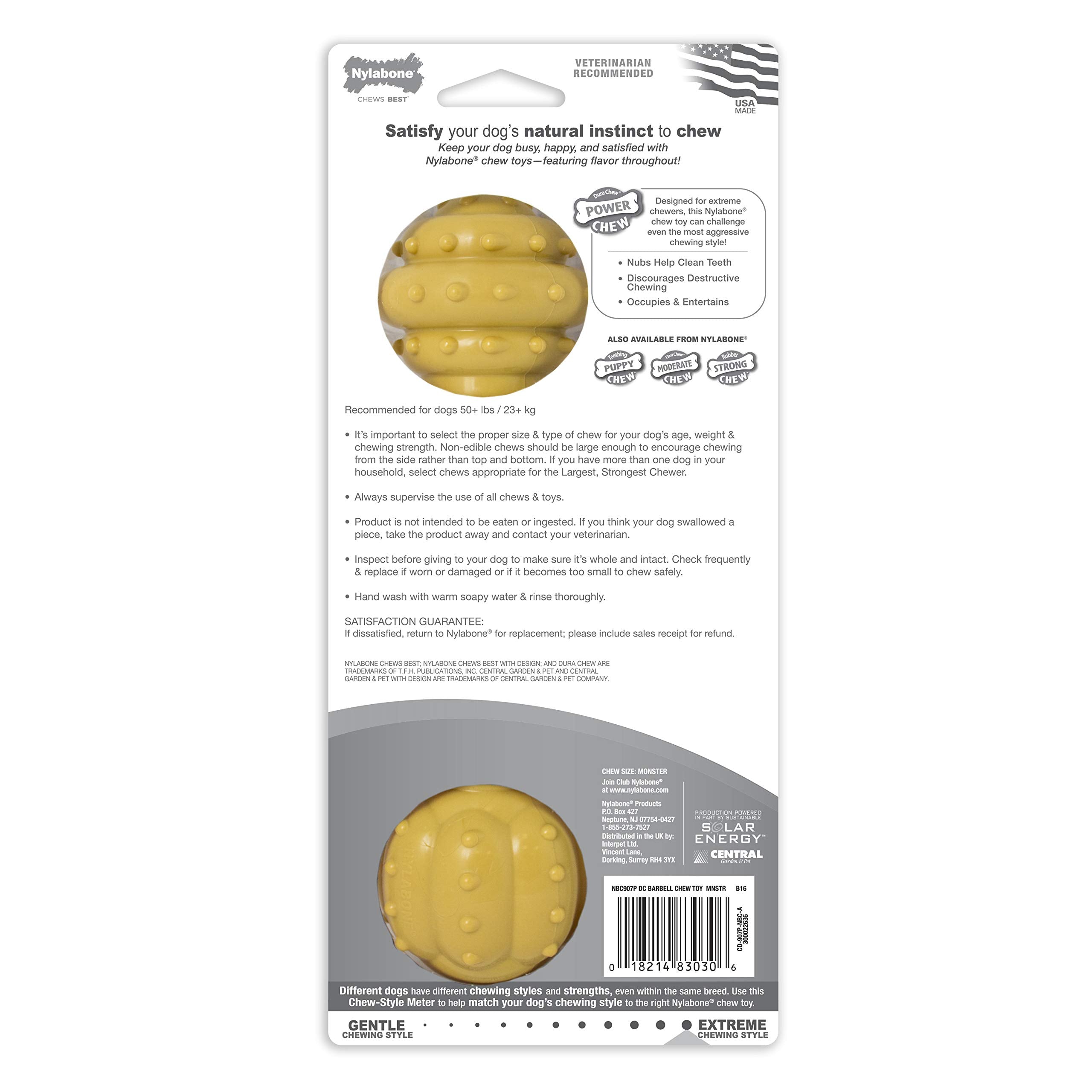 Nylabone Barbell dog enjoying a satisfying chew during playtime