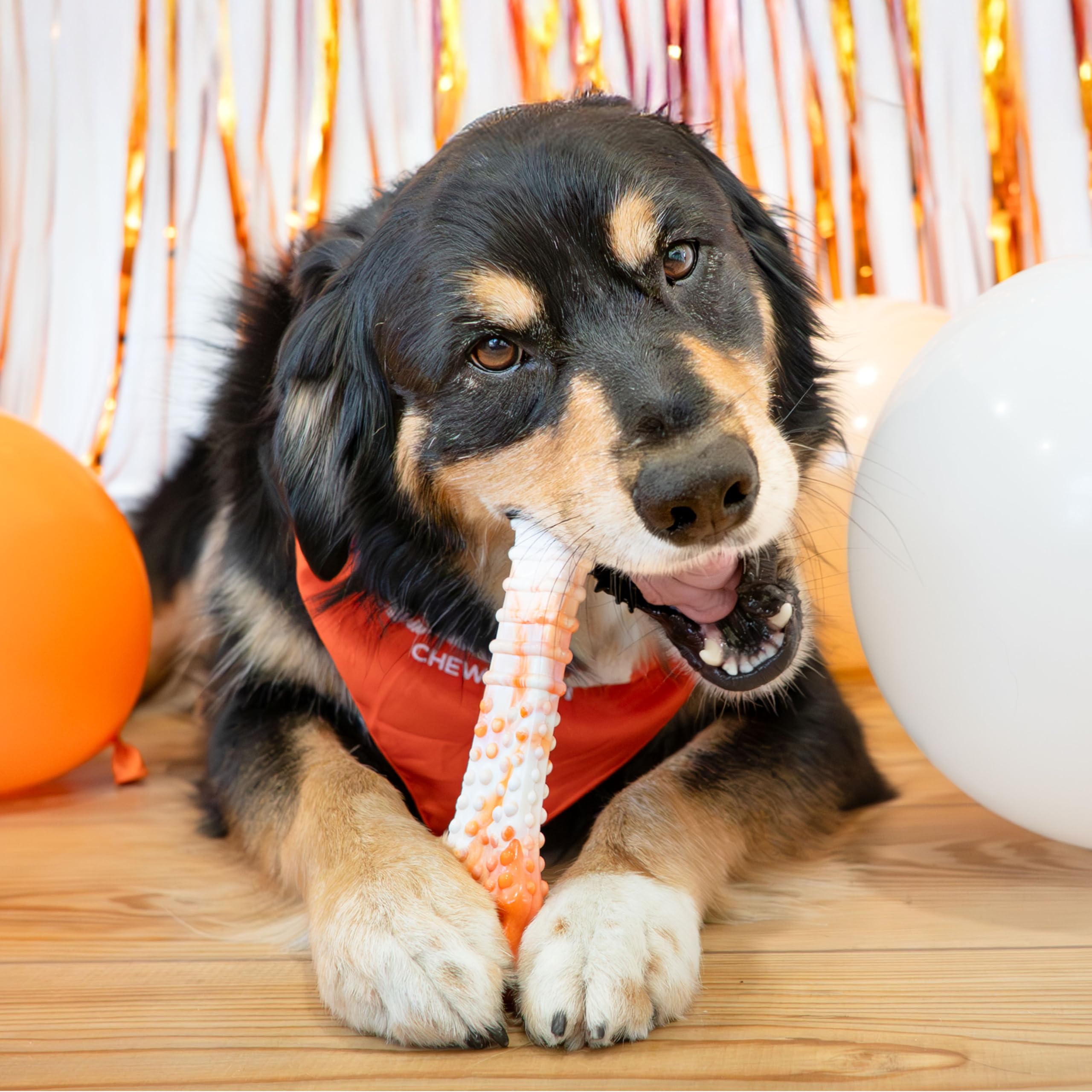 Nylabone bold bully-stick flavor chew keeps dogs engaged.