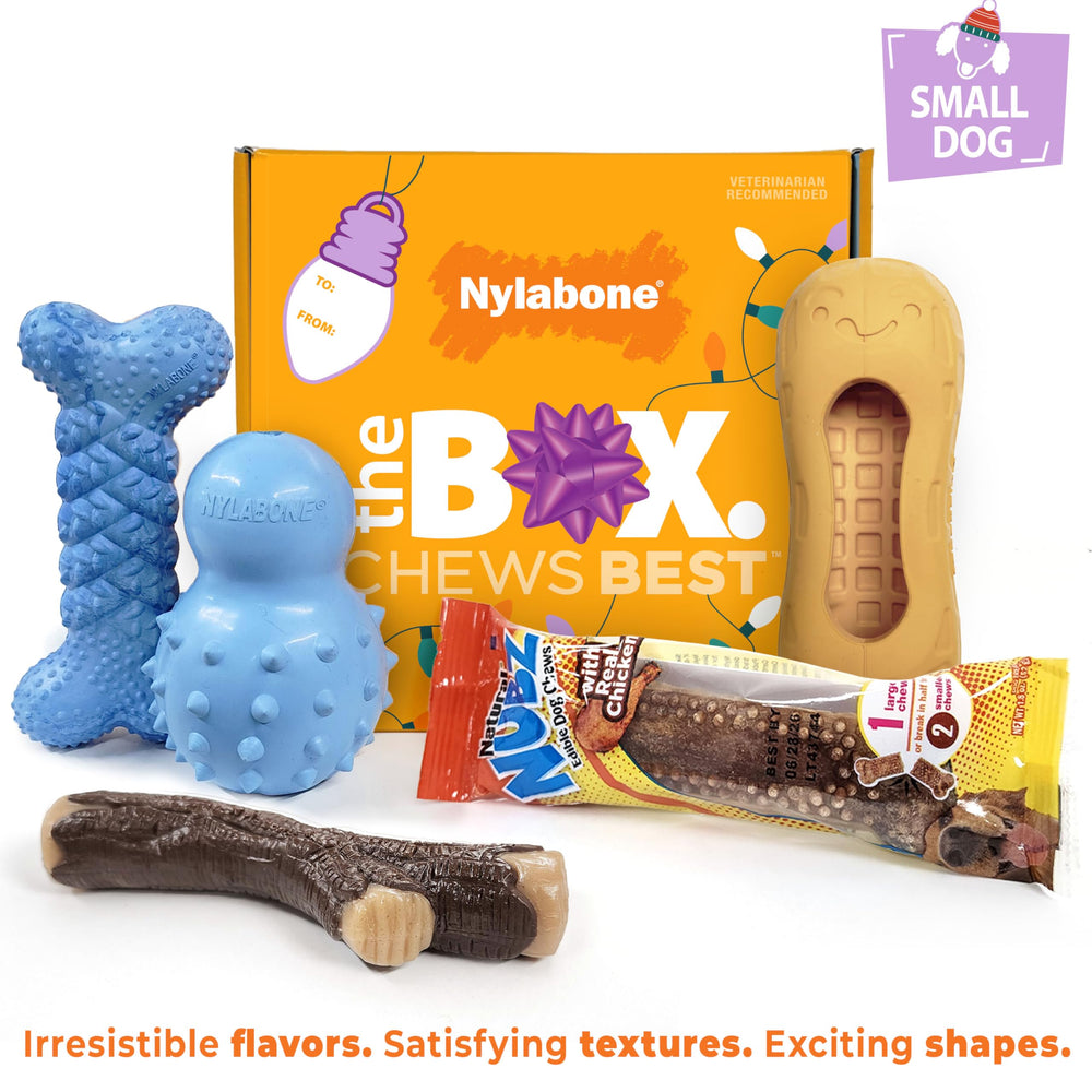 Nylabone braided bone chew with vanilla cookie flavor for chewing satisfaction.