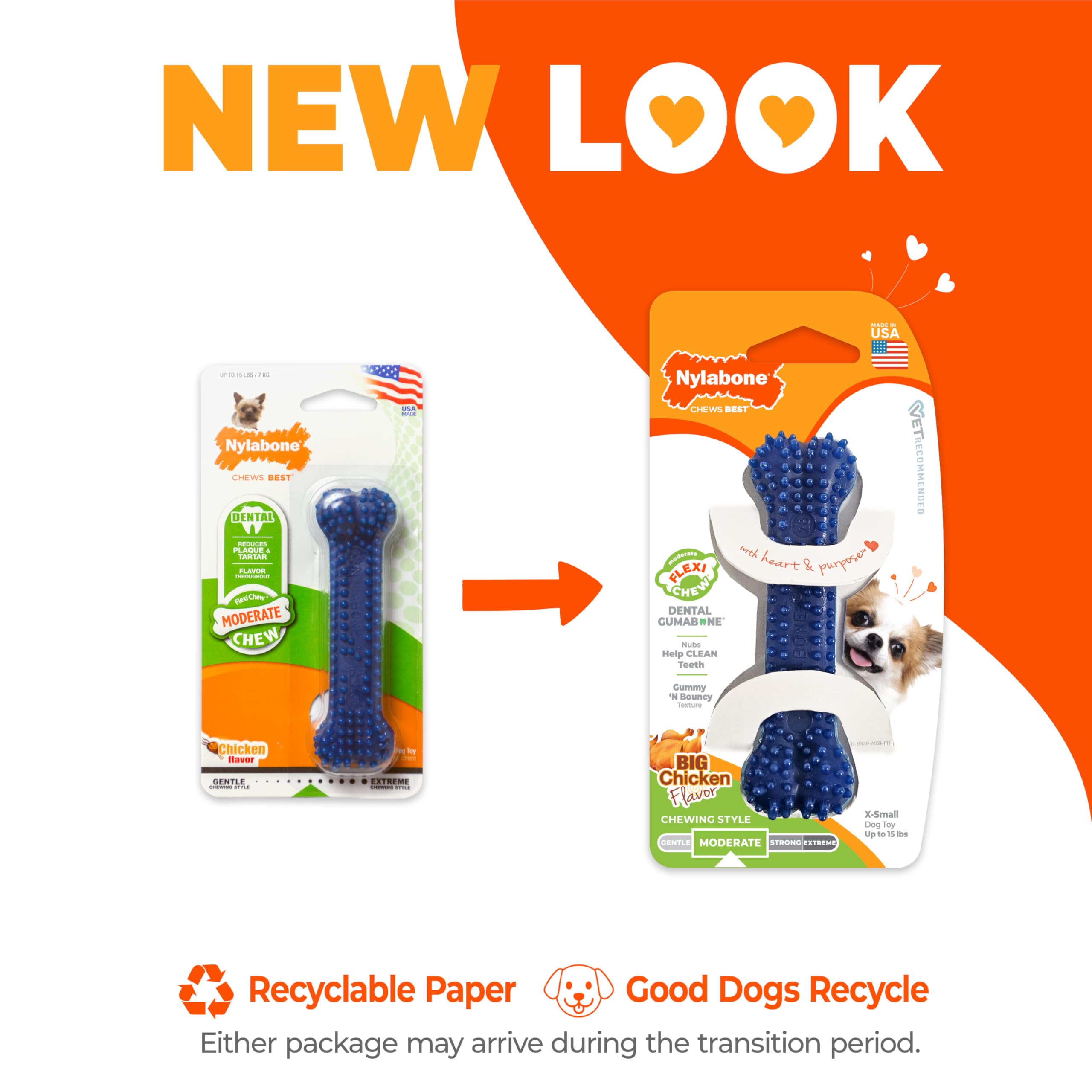 Nylabone Dental Bone chicken flavor in use promotes longer chewing sessions