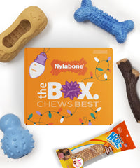 Nylabone Dog Gift Box open showcases a ready-to-gift setup for small dogs.