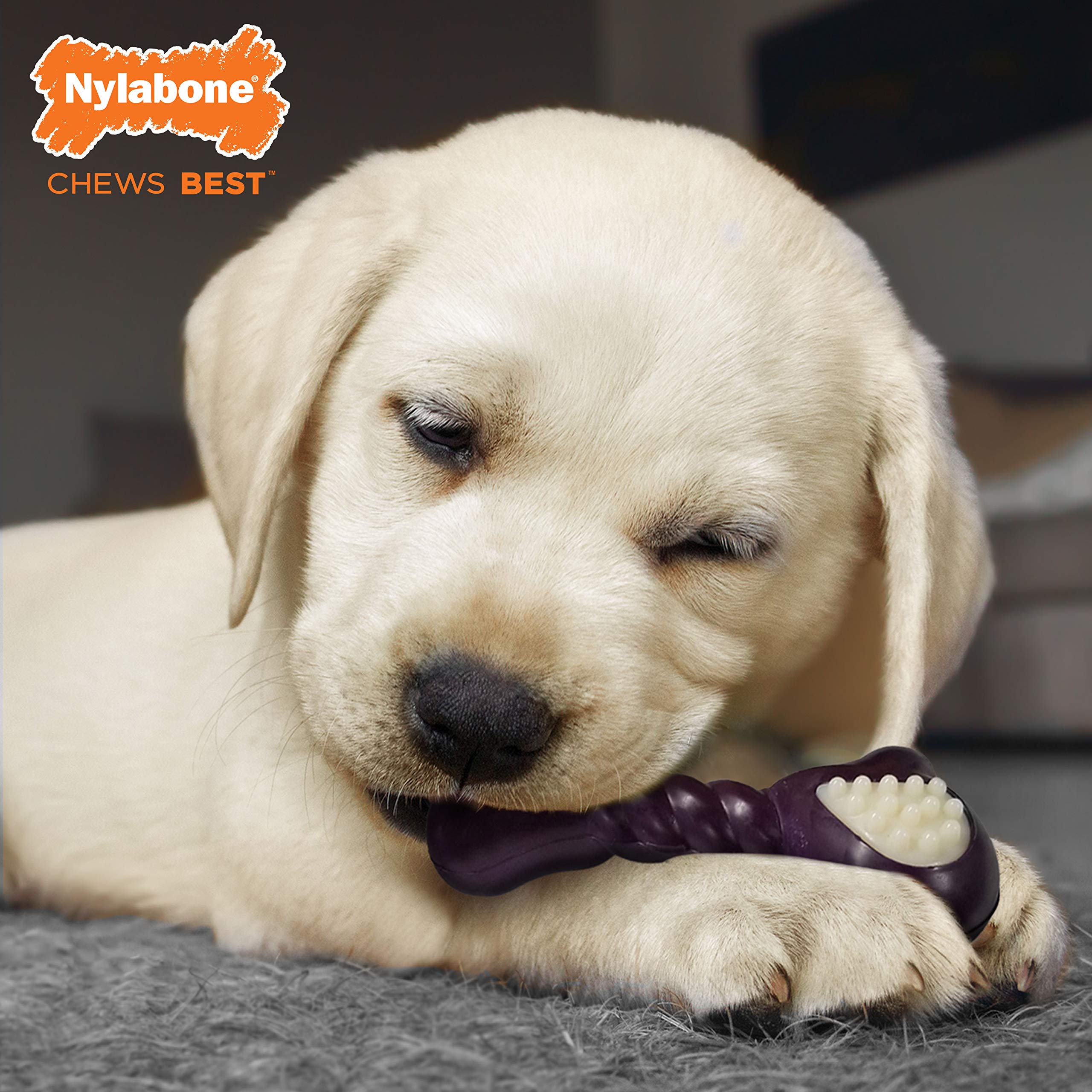 Nylabone Double Action Bone puppy bacon flavor encourages chewing with tasty appeal.