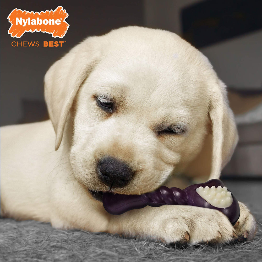 Nylabone Double Action Bone puppy bacon flavor encourages chewing with tasty appeal.