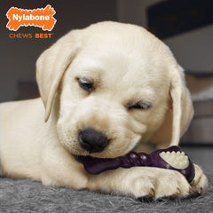 Nylabone Double Action Bone puppy bacon flavor encourages chewing with tasty appeal.