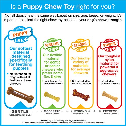 Nylabone Double Action Bone puppy bite-friendly shape supports healthy play.