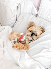 Nylabone Double Bone Power Chew Toy durable nylon construction lasts tough chewers.