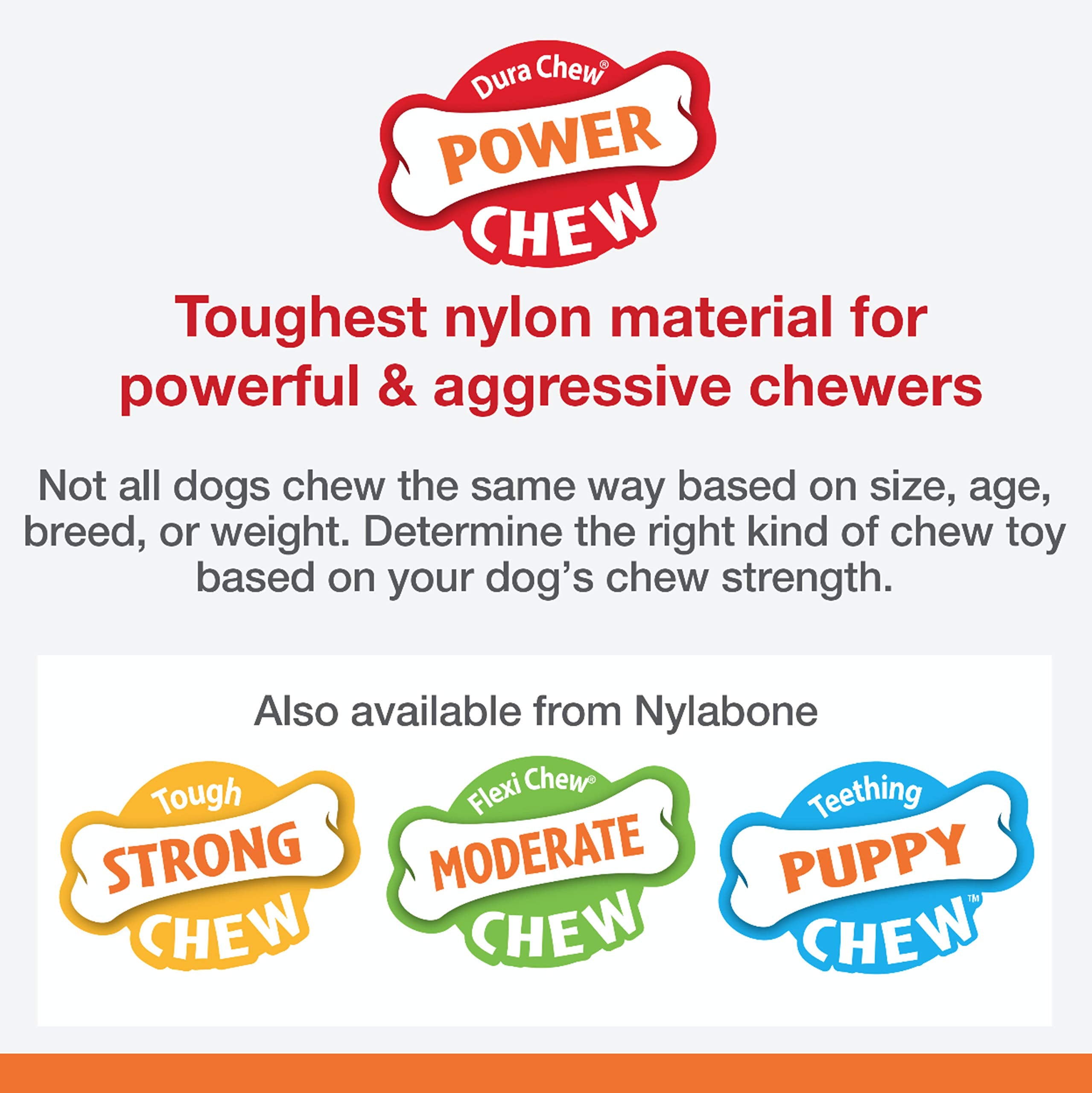 Nylabone Flavor Frenzy XL bone shows Philly Cheesesteak flavor for tasty, extended chews