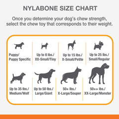 Nylabone Flavor Frenzy XL product close-up highlighting durable nylon construction
