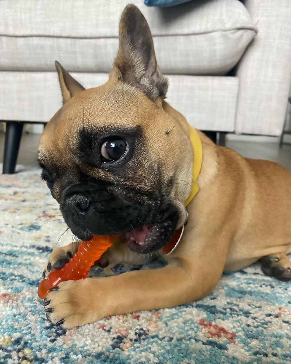 Nylabone Freezer Knuckle Bone sized for puppies up to 25 pounds.