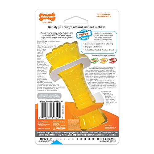 Nylabone Freezer Knuckle Bone is a safe chew option when supervised.