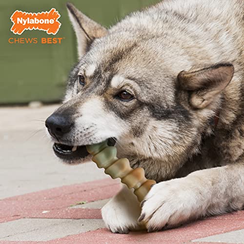 Nylabone Gator Tail Alternative is easy to clean after use.