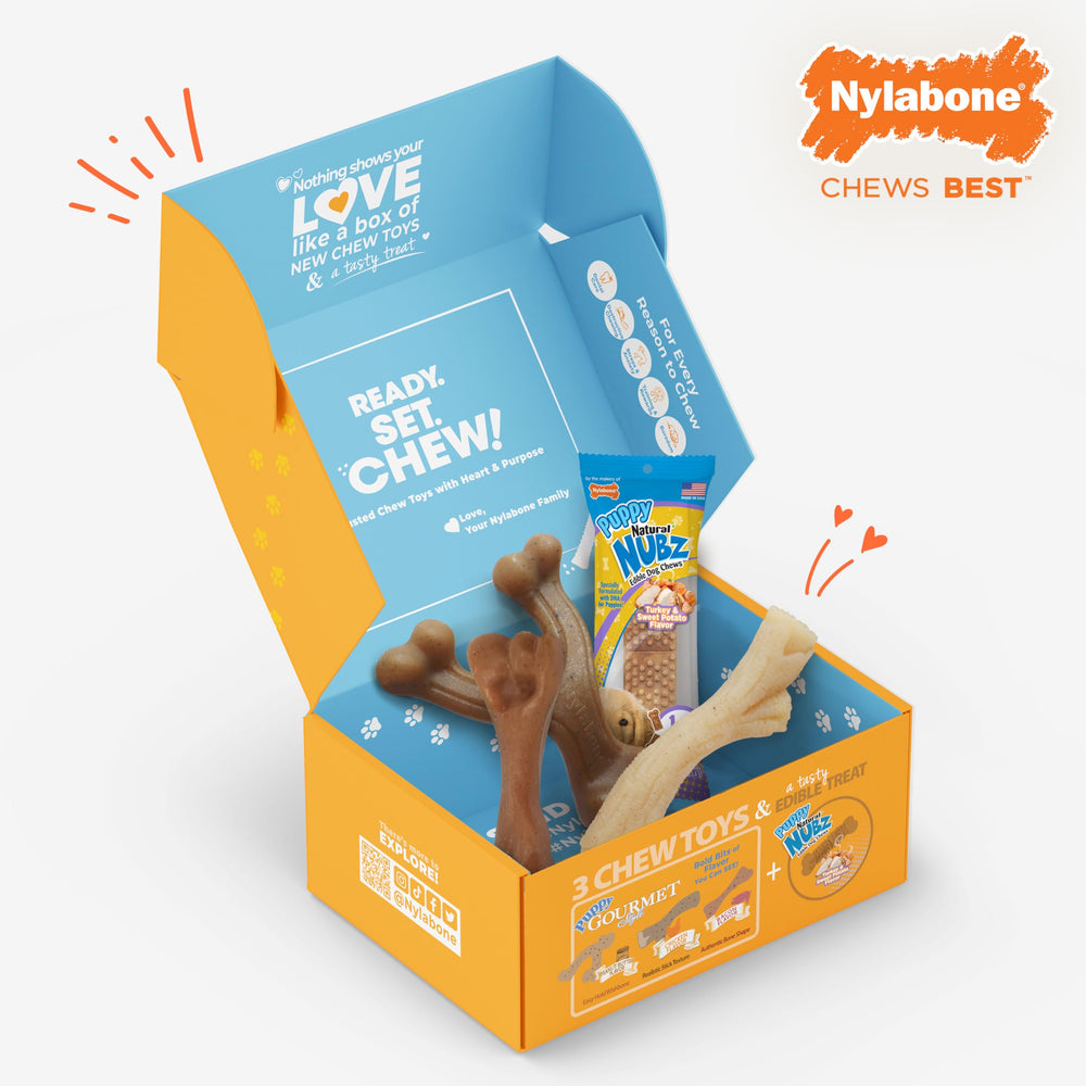 Nylabone Gourmet Flavor chicken chew toy for tasty teething