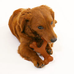 Nylabone Gourmet Style Durable Chew Toy stands up to strong chewers for longer play.