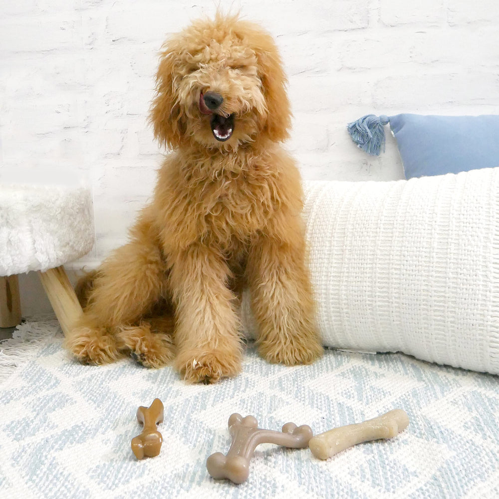 Nylabone Gourmet Style Bundle flavors visible for flavor obsessed dogs