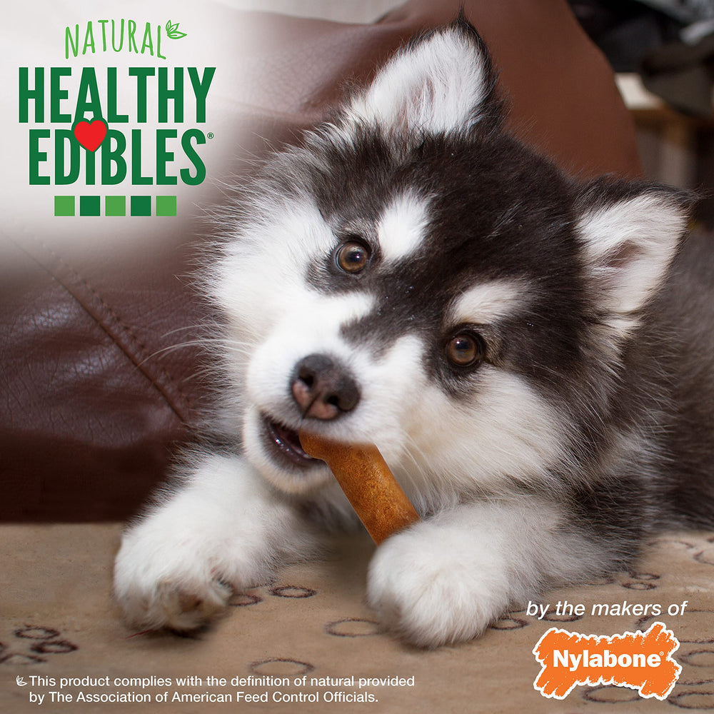 Nylabone Healthy Edibles calcium supports teeth and bones during growth
