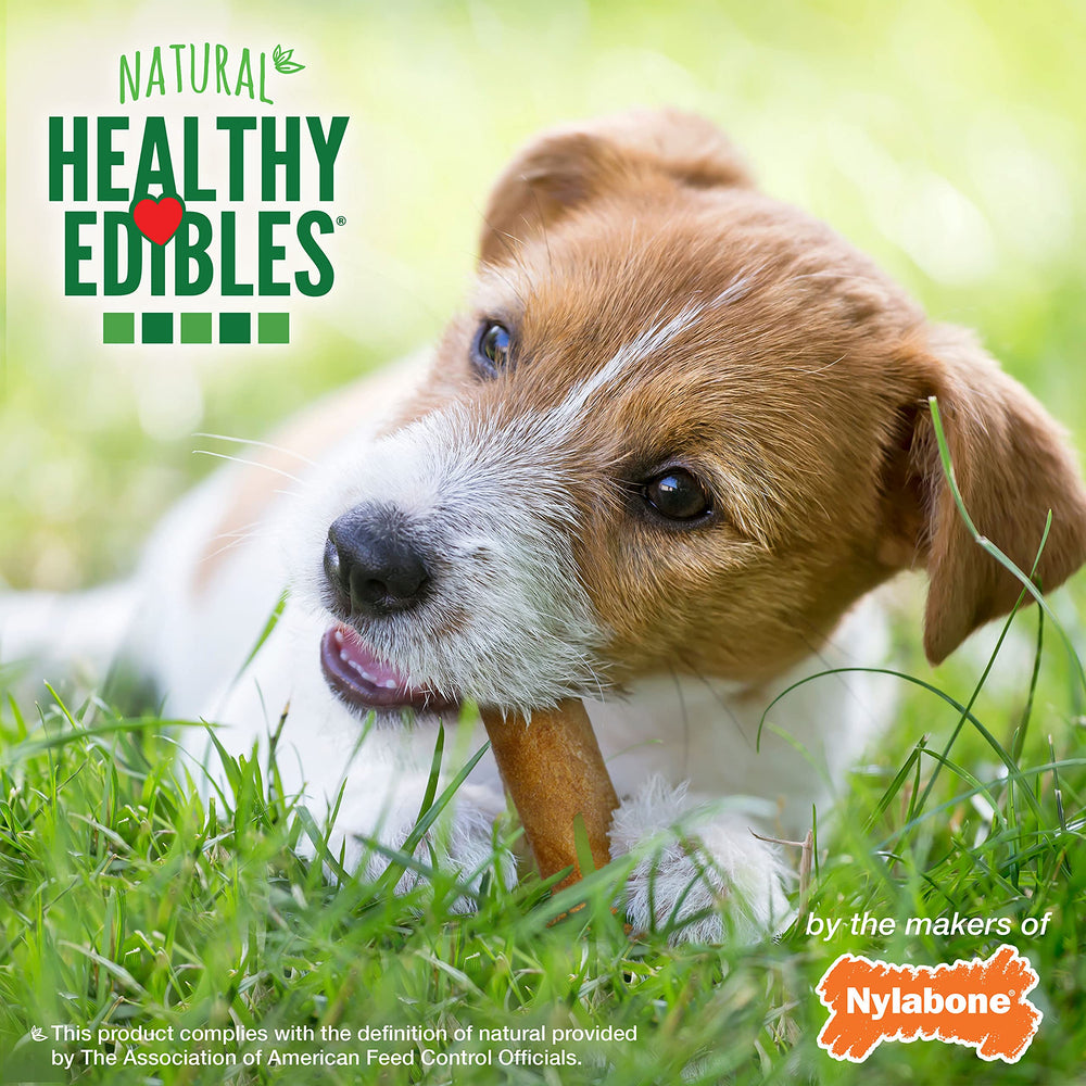 Nylabone Healthy Edibles long-lasting chew displayed for occupying dogs
