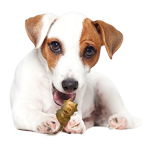 Nylabone Healthy Edibles size 2.25 x 1.25 x 0.75 inches for puppies