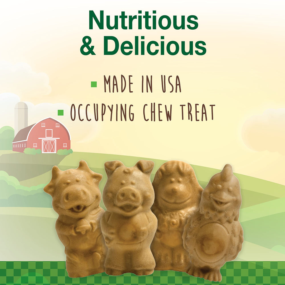 Nylabone Healthy Edibles chiot, formes amusantes dessinées.