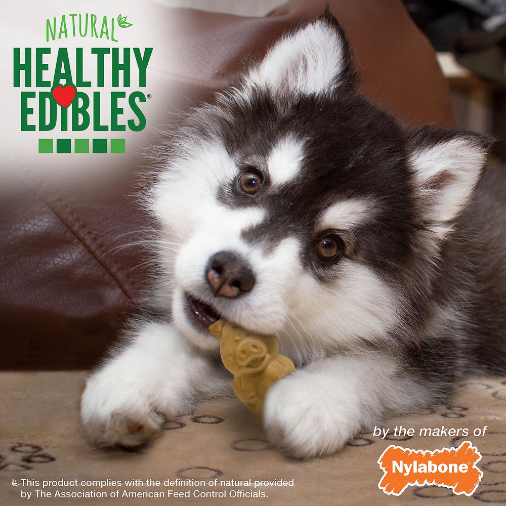Nylabone Healthy Edibles small-puppies chew ideal for teething