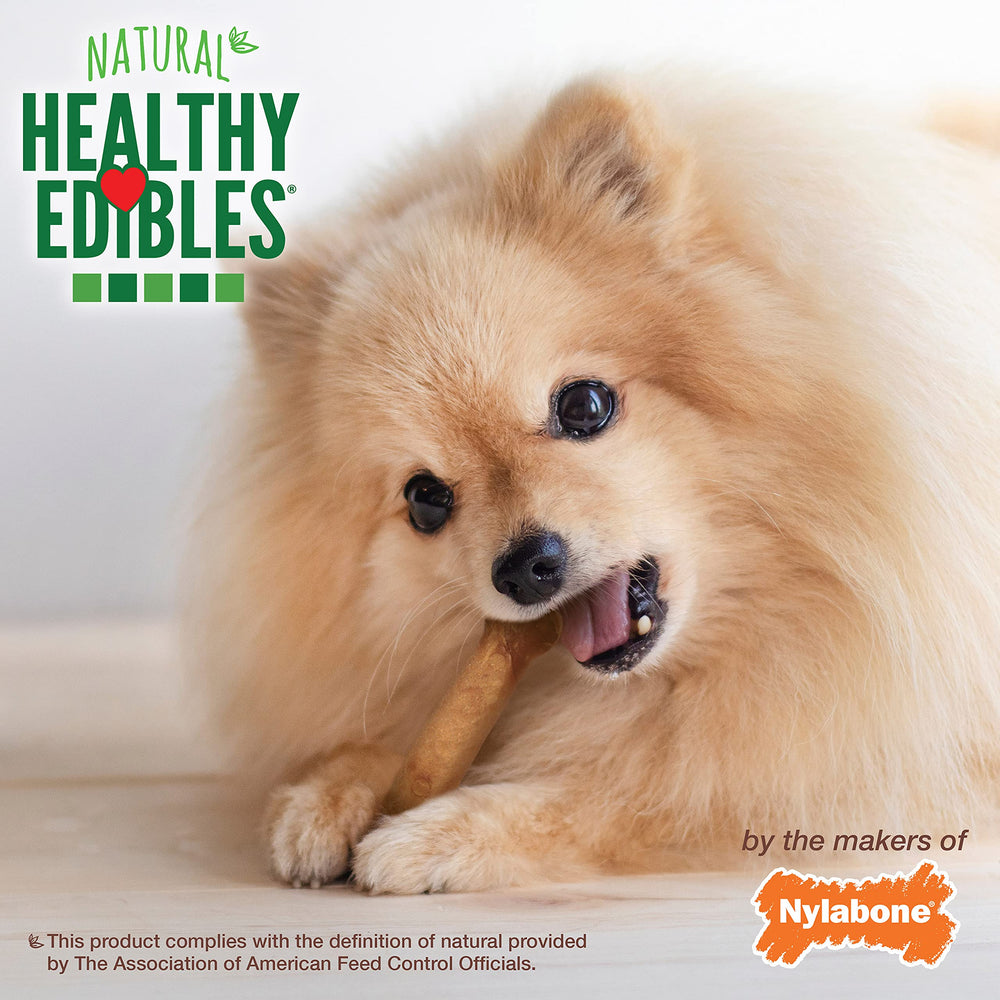 Nylabone dog-chewing-action shows long-lasting and highly digestible chews.